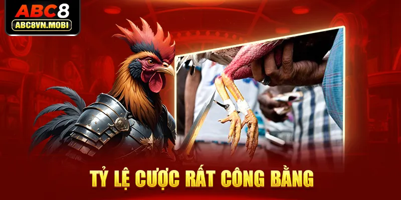 Tỷ lệ cược rất công bằng