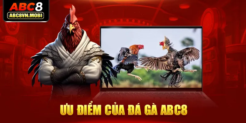 Ưu điểm của đá gà ABC8